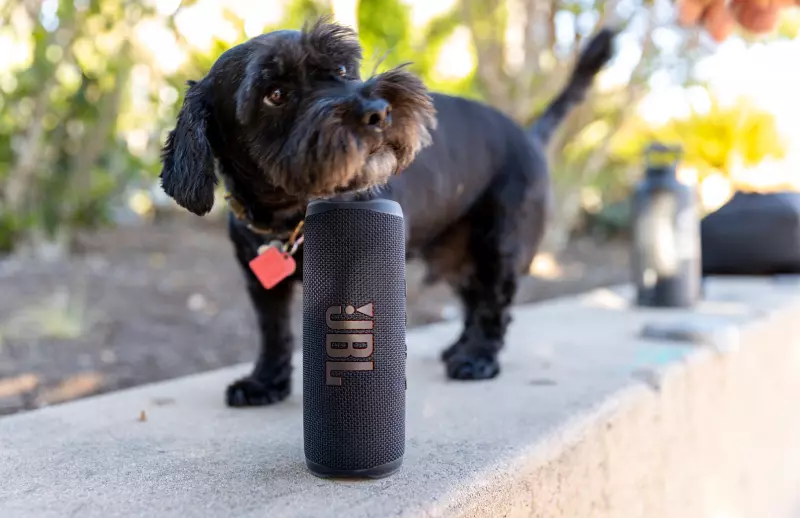 JBL Flip 6 te garantiza un sonido siempre en movimiento